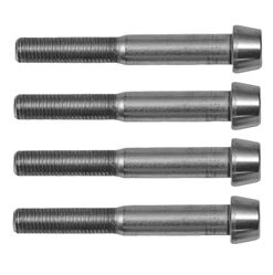 bolts kit for radial calipers M10x60mm (1.25mm pitch) DIN 912 taper head (2 pcs)